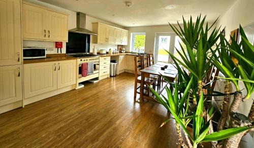 Yucca cottage