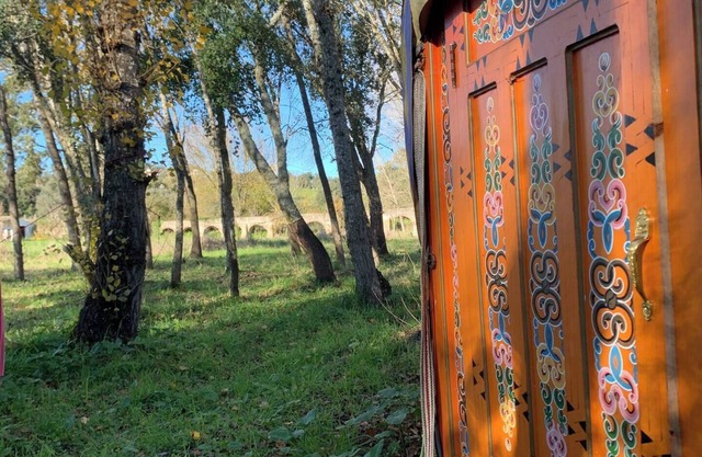Yurt in a magical mini forest