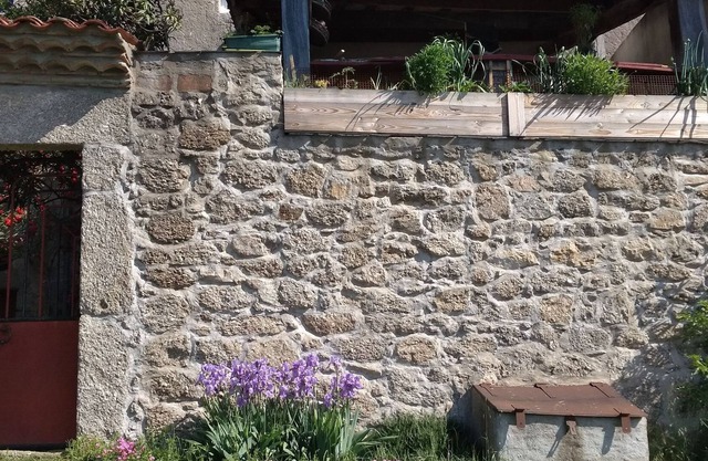 LE1739 - Vacation Sharks, France
