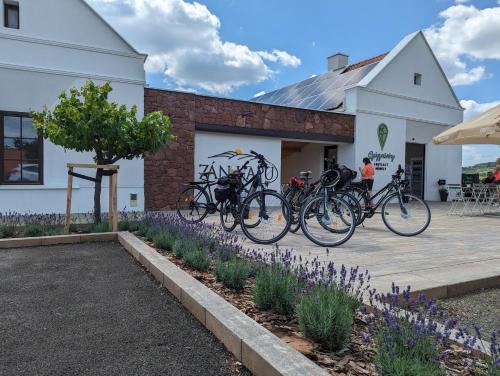 ZÁNKAPU -Hotel for You- Adult & Bike Friendly 3-Room B&B with Local Wine, Terrace & Káli-medence Experience