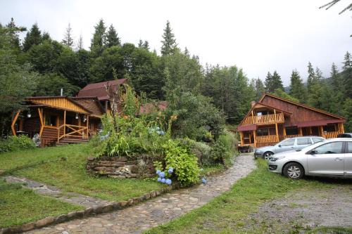 Zarinok