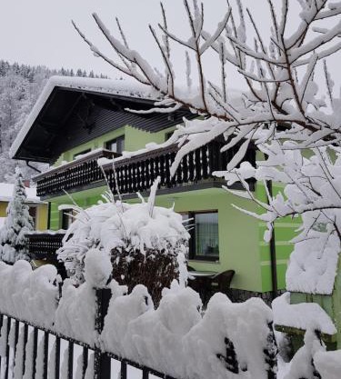 Zeleni apartma Zreče