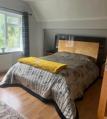 Zen suite