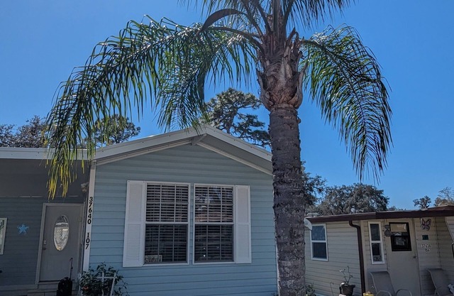 Zephyrhills Florida close to Tampa, Zoo, Hard Rock, and Bush Gardens. Pool.