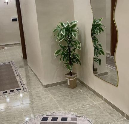 zeralda mehalma badi f05