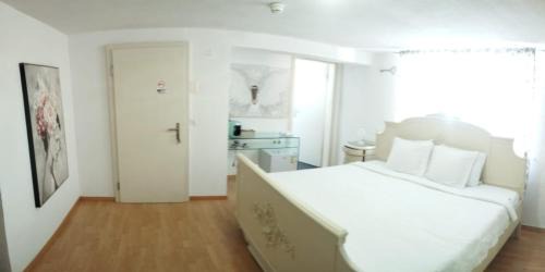 Zimmer corse 08