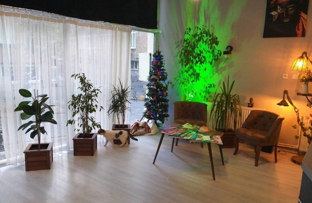 Zion Home Butik Otel