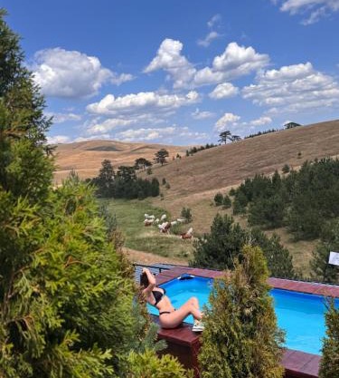 Zlatibor Wild nest Rabbit Lux