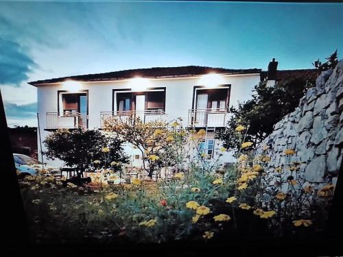 Zorin House Rooms