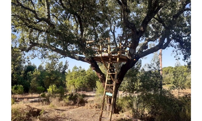 Vale de Mulheres Casa | Árvore dos Sonhos - Tree House