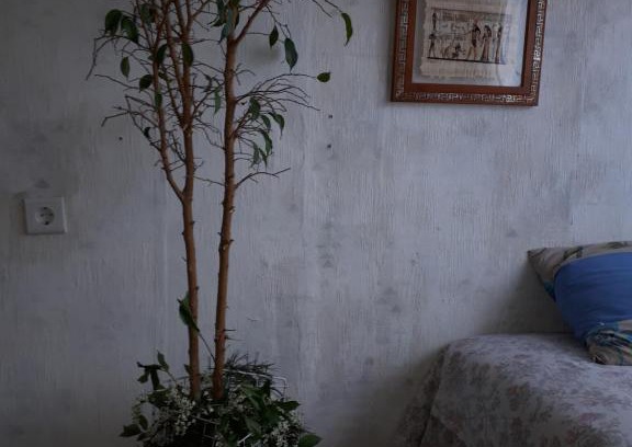 Plavnieki Apartamento | Īstermiņa randiņu tikšanās vieta