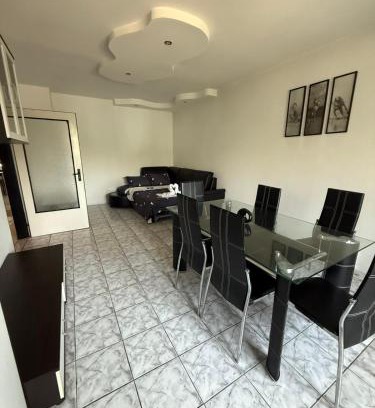 Vidin Apartamento | Апартамент