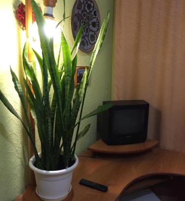 Ternopil Apartamento | Бюджетные Комнаты посуточно 5мин McDonalds WI-FI 15мин до центра города