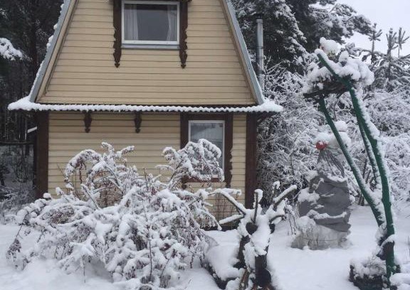 Idritsa Casa | Гнездо аиста