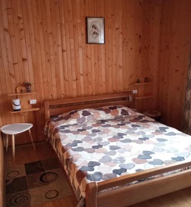 Yaremche Apartamento | Карпатські ночі Чан на території