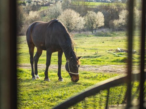 Skobelevo Villa | Стая за гости "Намасте" с панорамна гледка и камина на дърва