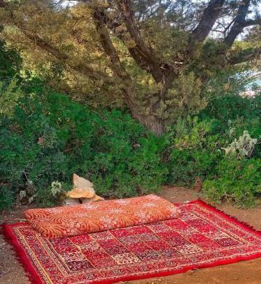 Ma'an Governorate Casa | اذرح فارم