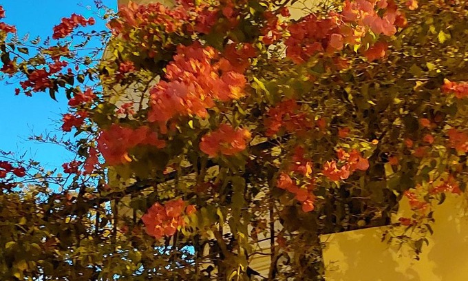 Madinet Borg Al Arab Casa | فيلا انور يسن ابو كليلة