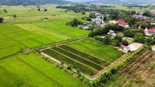 Chiang Khong Casa | ณ บ้านนอก Organic Farmstay