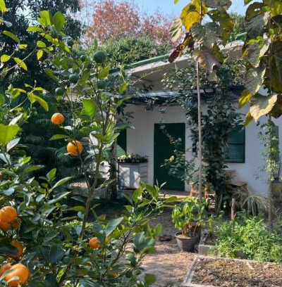 Wang Thong Casa | บ้านมะลิ