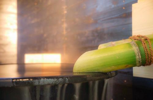 Yufuin Onsen Villa | かわもと別邸3466