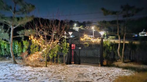 Ganghwa Casa | 강화펫비하우스