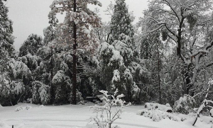 Wishon Cabaña | Cabaña de los años 40 actualizada con las comodidades de hoy