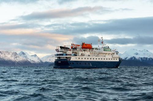 Tromso Alquiler De Eote | 24hrs Northern Lights & Whale Watching Cruise