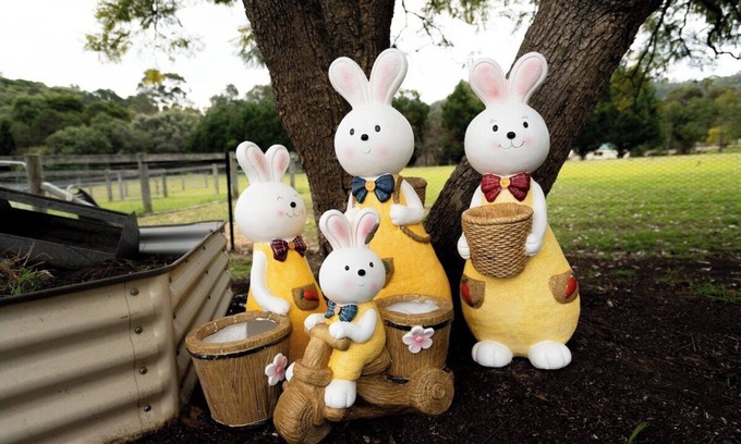 Mount Hunter Casa | 3BD Exclusive Manor Retreat Farm