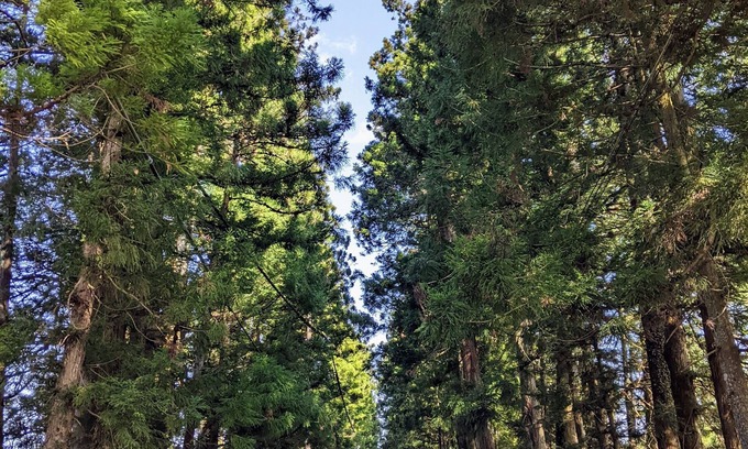 Nikko Villa | 5 minutes by car from Tobu Nikko Station.