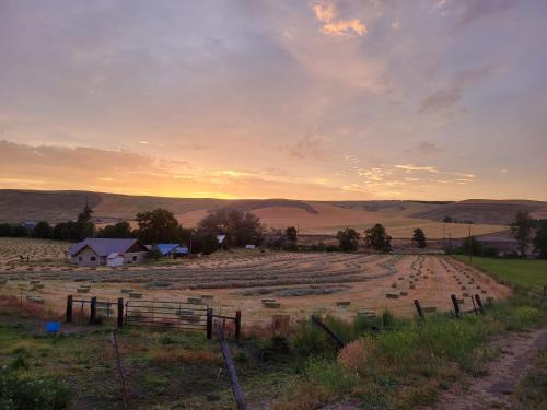 South Cascades Area Cama Y Desayuno | 8 Mile Farm Bed & Breakfast