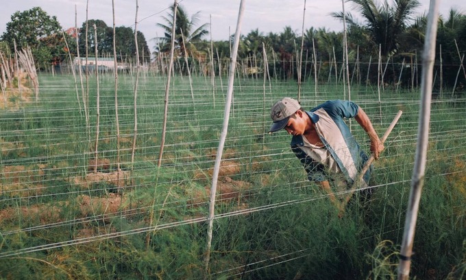 Phan Rang Casa | Una casa de familia hogareña en un campo típico vietnamita, precio encantador.