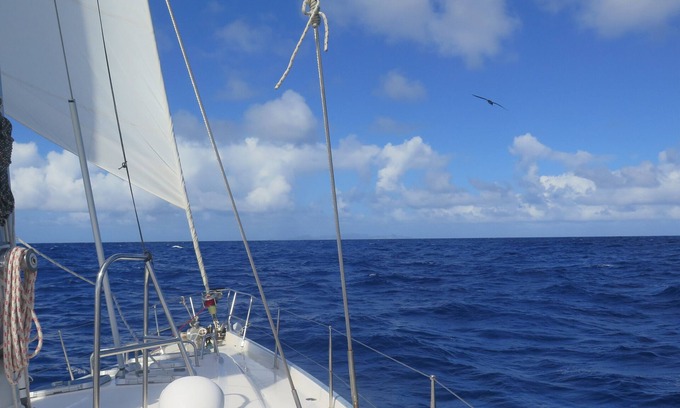 Caneel Bay Alquiler De Eote | A Moveable Feast II