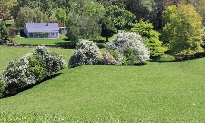 Halcombe Cabaña | Una casa de campo tranquila