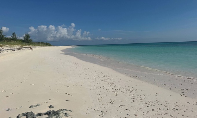 Great Guana Cay Complejo | Abaco, Bahamas Newest Luxury Resort! Discover Our 4BR/4BA Poolside villa!