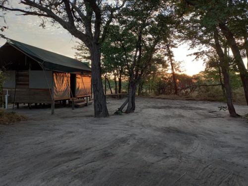 Maun Otro | Acacia Camping