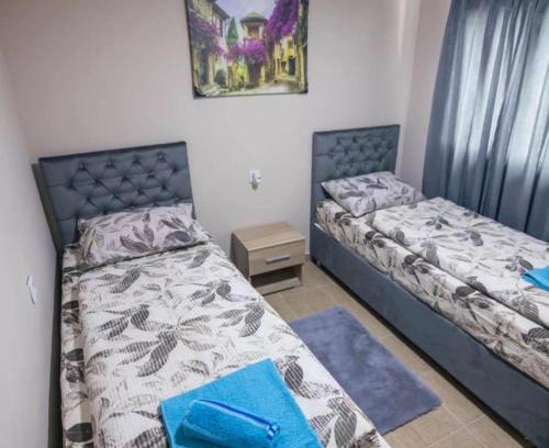 Foca Otro | Adventure Tara