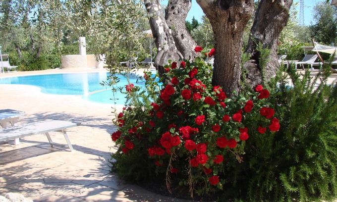 Chiesiola Otro | Agriturismo I Tesori Del Sud