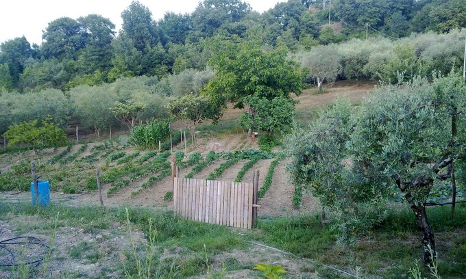 Felitto Otro | Agriturismo le Cammarose