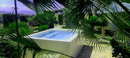 Notaresco Casa | Agriturismo Tenuta Santa Maria