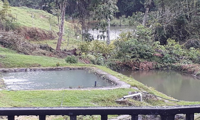 Platanares Cabaña | Hospedaje Agua Azul