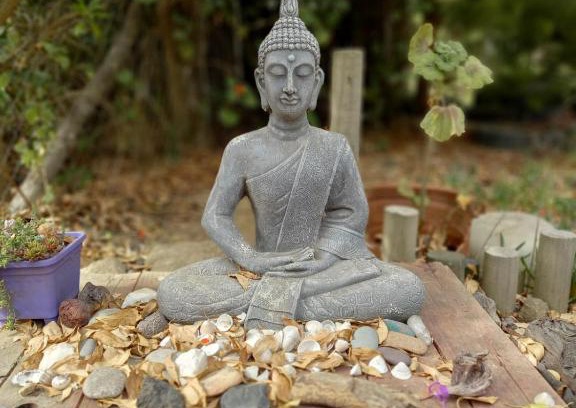 El Quisco Casa | AhimsaRefugio