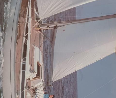 Orikum Alquiler De Eote | Albatros