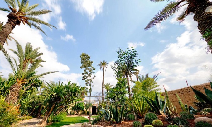 Palmeraie Casa | All Green house