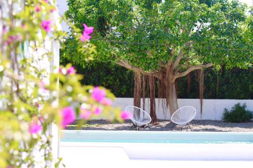 Fasano Casa | AllaTorretta23
