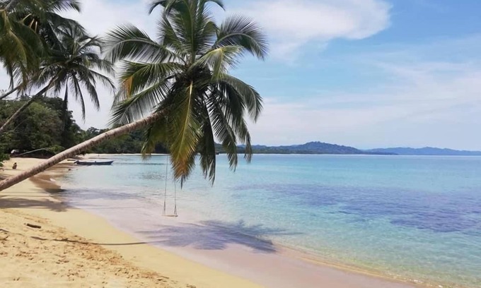 Cocles Apartamento | Alloro Jungle Villas