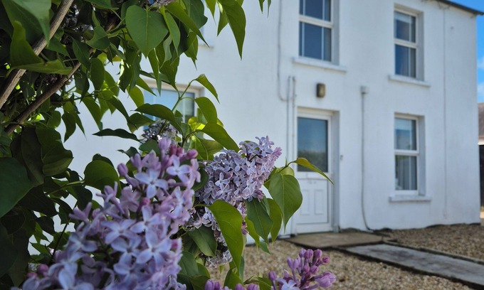 Dromore Casa | Alpaca Farmhouse with all weather private hot tub and alpaca experience included