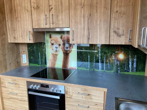 Bad Großpertholz Apartamento | Alpakaglück