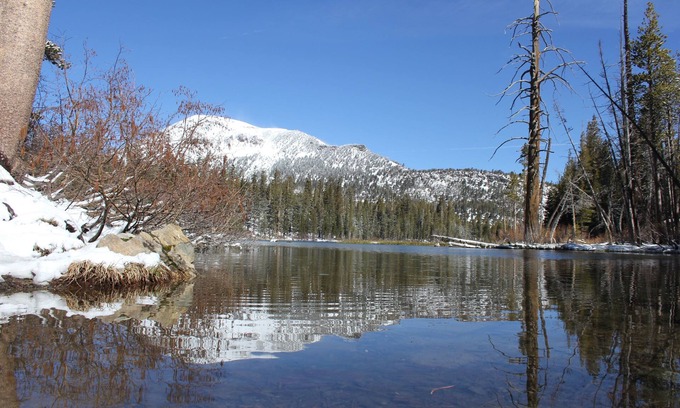 Mammoth Lakes Hotel | Alpenhof Lodge