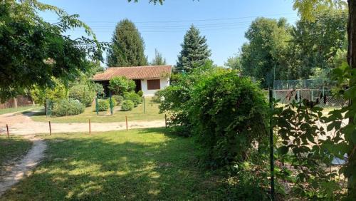 Sombor Casa | Amazonka